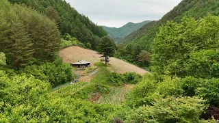 산골짜기 오지마을 길이끝나는 곳 에서만난 그림같은 빈집