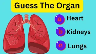 Guess the Human Body Parts in 10 seconds | Kids Educational Video for Home Schooling
