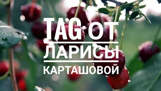 11. TAG от Ларисы Карташовой