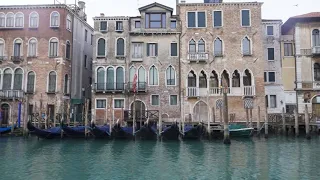 Gleit-Zeit am Markusplatz: Quallen erobern Venedig