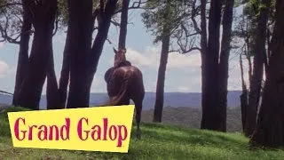 Grand Galop 117 - Le Cavalier sans tête | HD | Épisode Complet