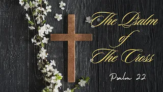 The Psalm Of The Cross [ Palm 22 ] by Tim Cantrell