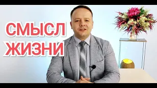 Почему я живу ? каков смысл жизни? почему Бог создал человека?