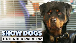 Show Dogs | "Who Let the Dogs Out?"