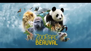 Zoo Parc de Beauval - Août 2020