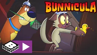 Bunnicula | Bunnicula is een robot?! | Cartoonito