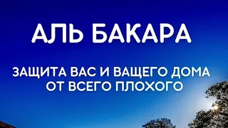 СУРА АЛЬ БАКАРА (КАРОВА) ЗАЩИТА ВАС И ВАШЕГО ДОМА ОТ ВСЕГО ПЛОХОГО, СЛУШАЙТЕ КАЖДЫЙ ДЕНЬ.