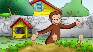 Georges le Petit Singe 🐵 George apprend à faire pousser des carottes 🐵 Dessins Animés