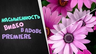 Как быстро сделать насыщенность видео | Цветокоррекция в Adobe Premiere