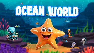 Meet Cool Ocean Animals | Star Fish, Clown Fish, Sea Horse, Manta Ray, Bottlenose Dolphin, and More