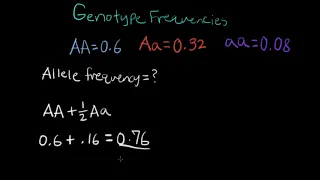 How to calculate the allele frequency given a genotype frequency
