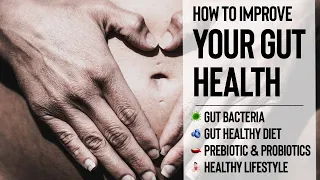 HOW TO IMPROVE YOUR GUT HEALTH // Gut Bacteria, Gut Healthy Diet, Prebiotics, Probiotics, Lifestyle