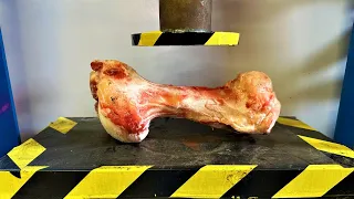 HYDRAULIC PRESS VS LARGE BONE!! CRAZY HYDRAULIC PRESS EXPERIMENT!