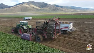 Idaho Sugar Beet Harvest 2023 near Declo