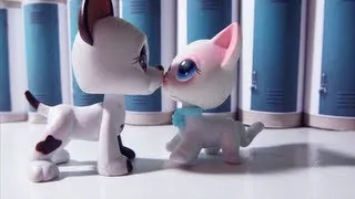 Littlest Pet Shop: Popular (Episode #16: The Fallout - Season Finale Part 1/2) [CC FRANÇAIS]