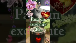 🌹☕️Buenos días !🌤🪻