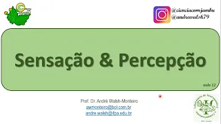 IntNeuro: Sensação & Percepção, aula 12