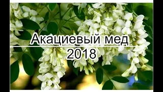 Акациевый мед 2018