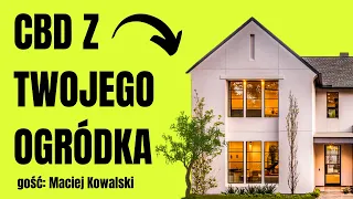 Jak uprawiać CBD w DOMU👩‍🌾? (Pozwolenie, nasiona, odmiany, kary) | Maciej Kowalski