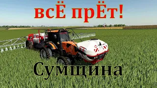 Farming Simulator 19. FS 19. СУМЩИНА ! ВОТ НАС ЗАКИНУЛО))