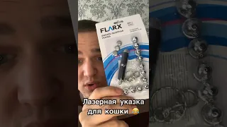 Лазерная указка для кошки, смех и грех 😂 #угар #рофл #вайн