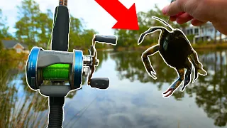 Using MONSTER Baits to Catch MONSTERS FISH! (PB)