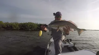 Mosquito Lagoon Fishing Report 4-29-2023