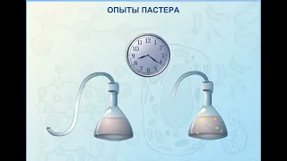 Опыт Пастера в ЕГЭ и ОГЭ по биологии. Опровержение теории самозарождения.