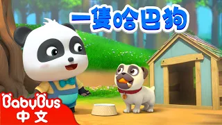 和小狗一起玩耍 + 更多 | 經典中文兒歌 | 動物朋友 Animal Friends | 兒歌 | Kids Song | 童謠 | 動畫 | 卡通片 | BabyBus | 寶寶巴士