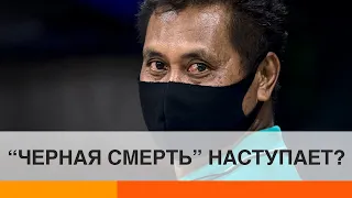 Коронавируса мало: миру угрожает пандемия чумы? — ICTV