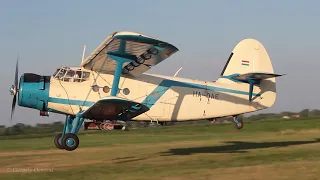 Antonov An-2 spreading fertilizer in Hungary