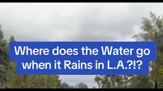 Where does the Water go when it Rains in L.A.!?!?