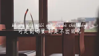 【走不出的回忆-任然】ZOU BU CHU DE HUI YI-REN RAN /TIKTOK,抖音,틱톡/Pinyin Lyrics, 拼音歌词, 병음가사/No AD, 无广告, 광고없음