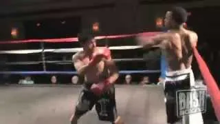Bash Boxing: Hollywood Fight Night