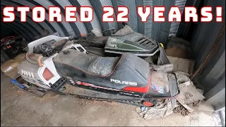 VINTAGE Polaris AND Arctic Cat Snowmobiles - Will They Run? (WITH MILLENNIAL FARMER!)