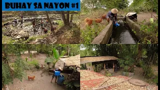TRADITIONAL WAY CATCHING FISH IN OUR VILLAGE | COUNTRYSIDE LIFE | NEW EPISODE 2023 #lifeseries