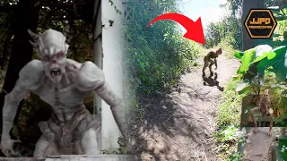 Top 5 Mysterious Creatures Caught on Camera 2022 Real or Fake?