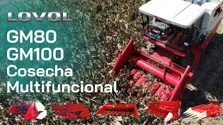 Cosechadora LOVOL GM80 y GM100  | Cosecha de trigo, sorgo, soja, colza y maíz