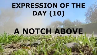 EXPRESSION OF THE DAY (10): A NOTCH ABOVE