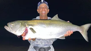 THE 6KG SHAD