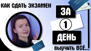 КАК ПОДГОТОВИТЬСЯ К ЭКЗАМЕНУ ЗА 1 ДЕНЬ | РЕАЛЬНЫЙ КЕЙС| СДАТЬ ЭКЗАМЕН ЗА ОДИН ДЕНЬ | СЕССИЯ  ЕГЭ