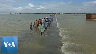 Flooding Continues to Affect Pakistan’s Punjab Province