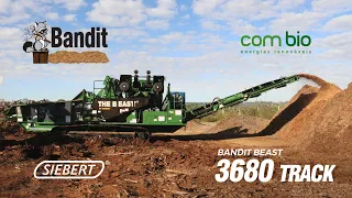 Bandit Beast 3680 Track - Combio - Trituração de raízes #residuossólidos #picadordemadeira