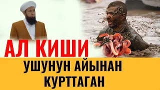 АЛ  КИШИ УШУНУН АЙЫНАН КУРТТАГАН.....