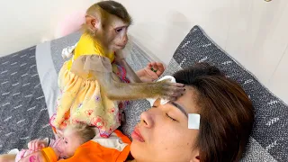 Monkey Kaka covers mom with a wet towel when her forehead is hot