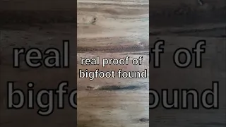 Real Bigfoot evidence found