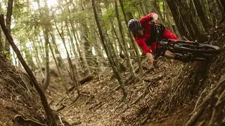 Trail Hunter - Japan