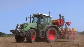 Semina Mais di secondo raccolto 2023 - Fendt 313 Vario+MaterMacc 8230 | Ale02