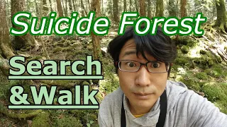 Suicide Forest😱 "Aokigahara Jukai"🌳