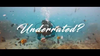 The Most Underrated Dive Spot in the Philippines